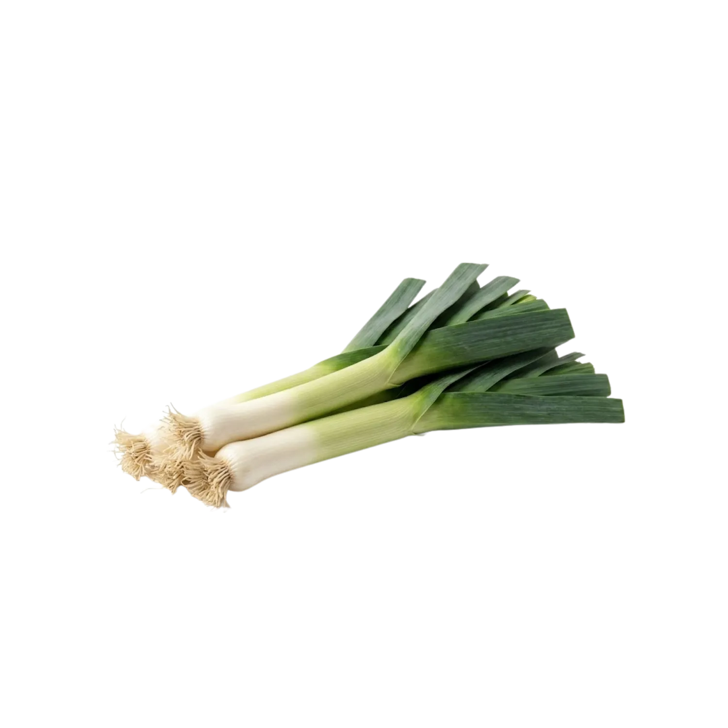 Poireau botte
