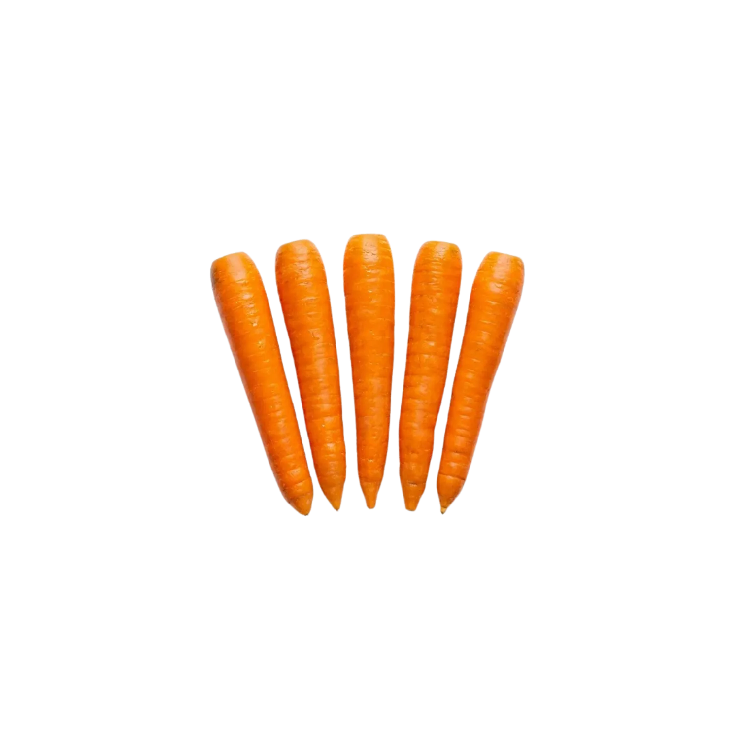 5 Carottes lavées