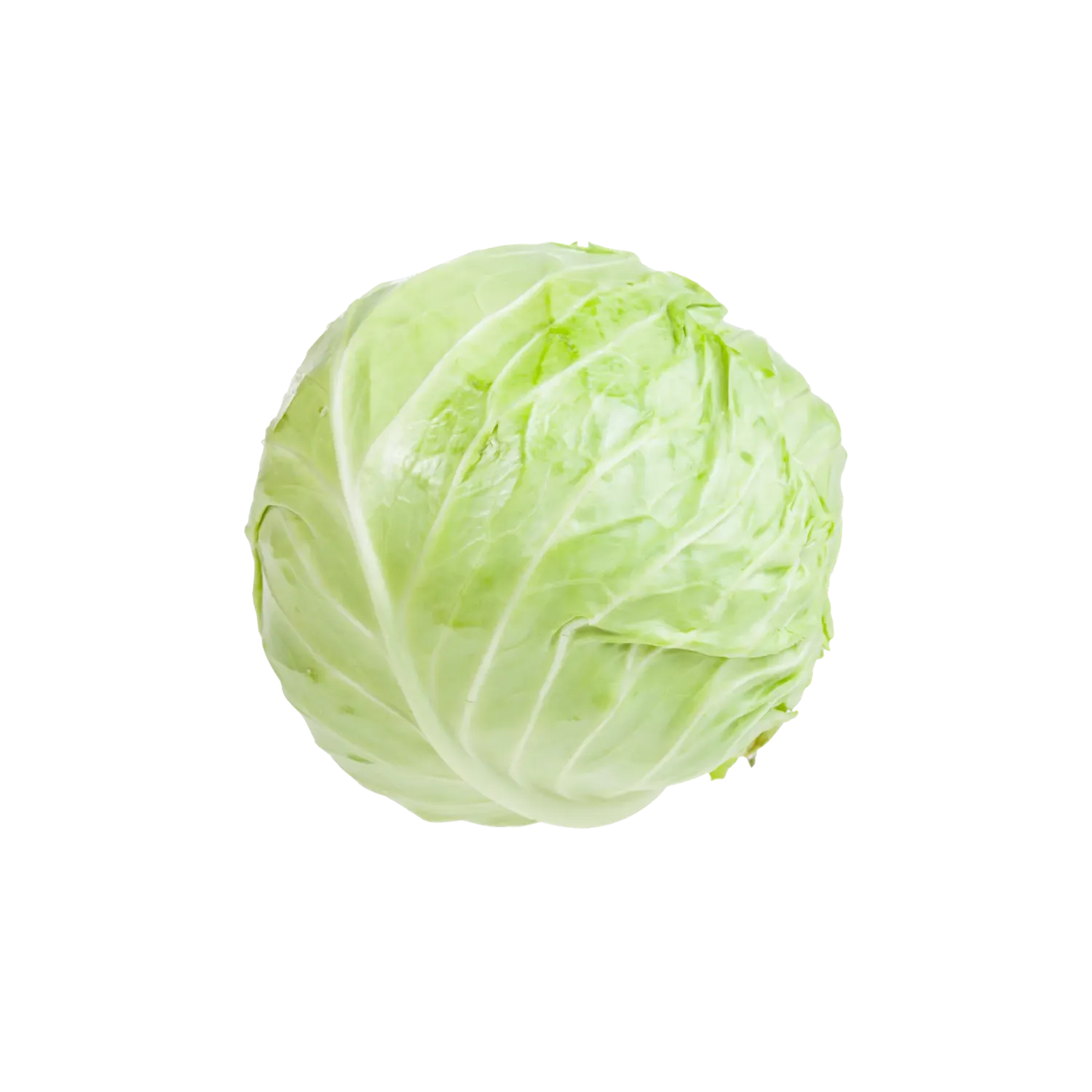 Chou blanc