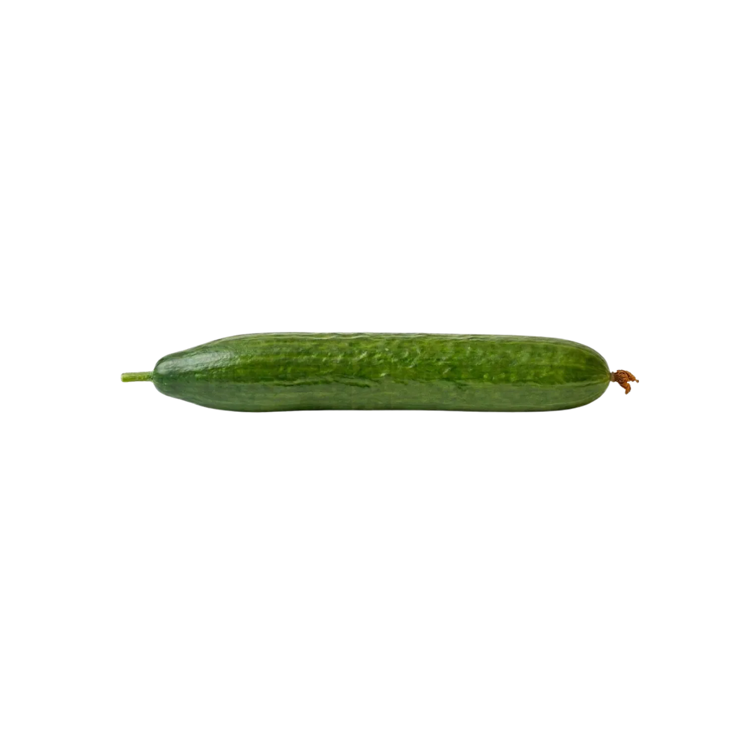 Concombre