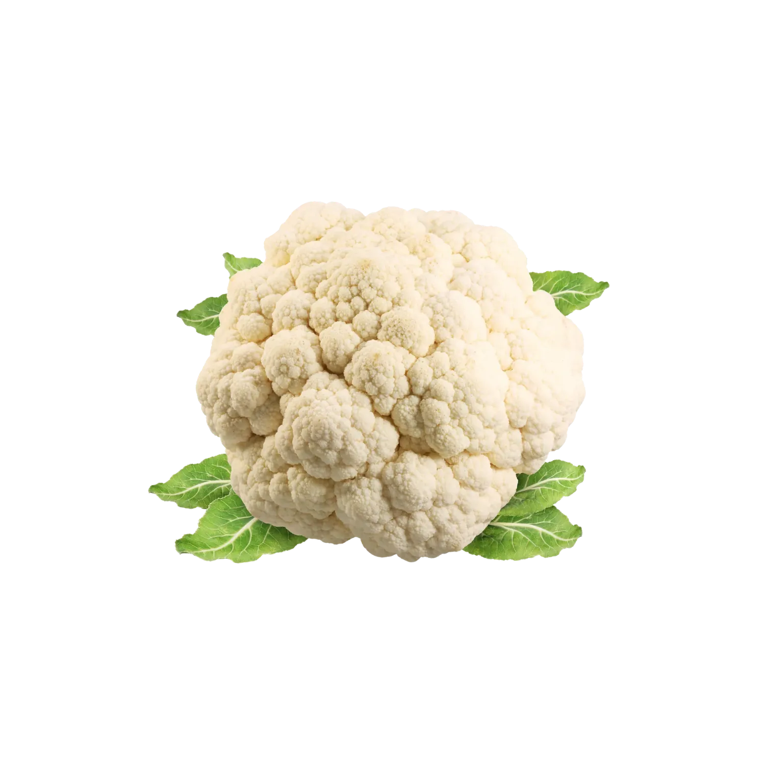 Chou fleur