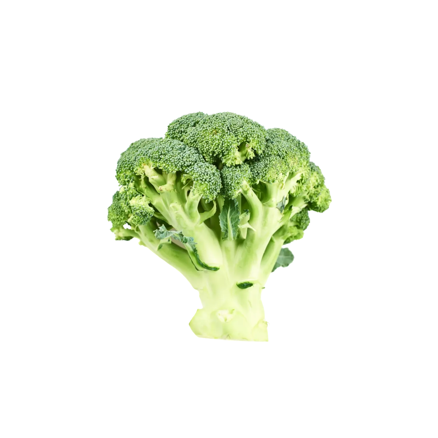 Brocoli