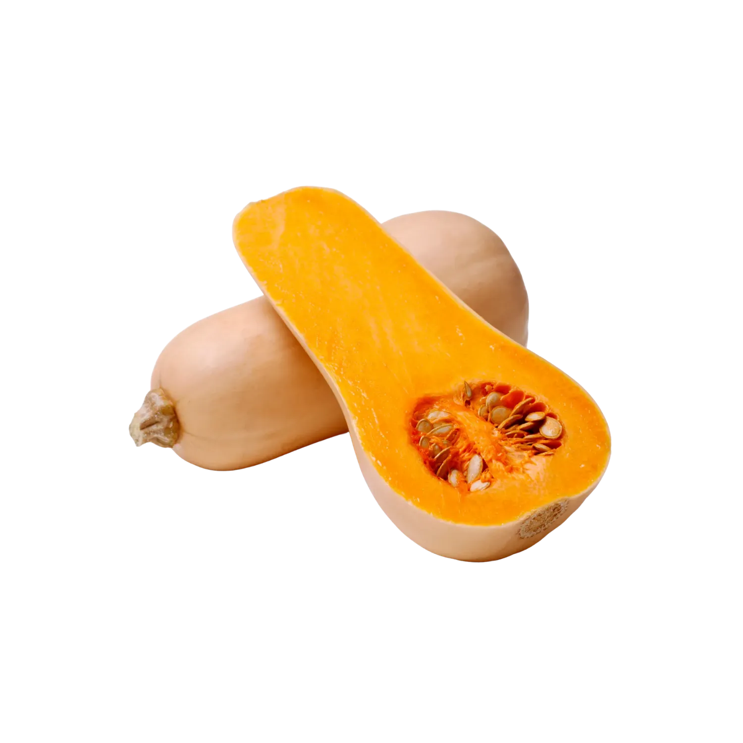 Courge Butternut