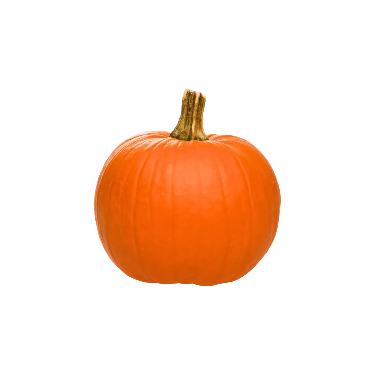 Courge Potimarron
