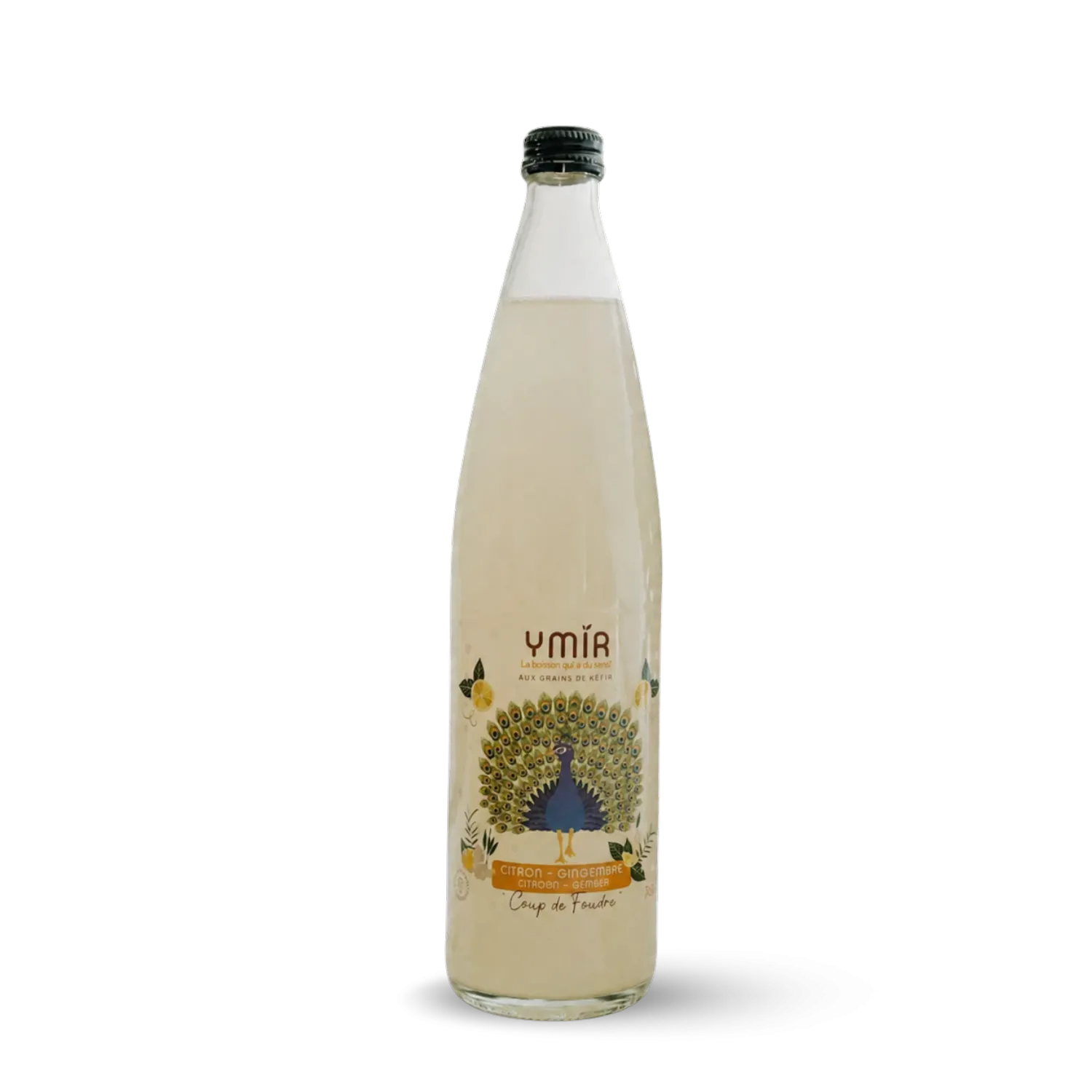 Kéfir de fruits Citron Gingembre