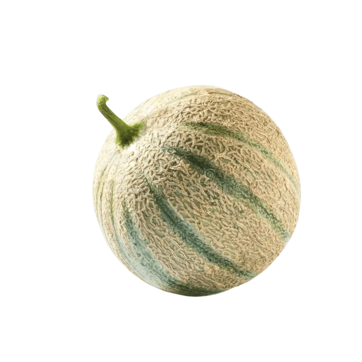 Melon