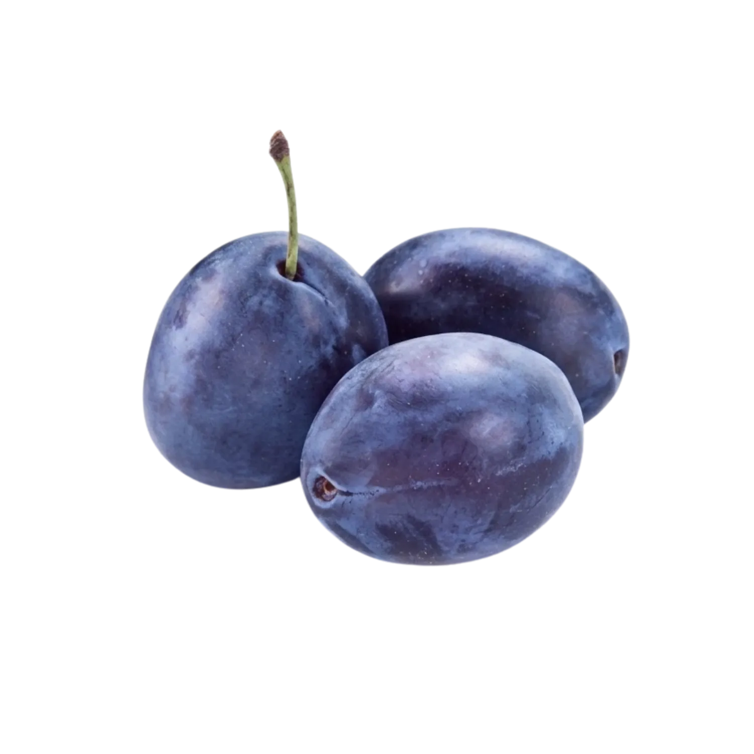 Prune Président