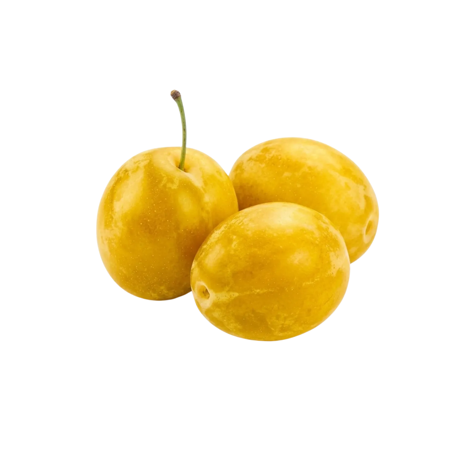Prune jaune