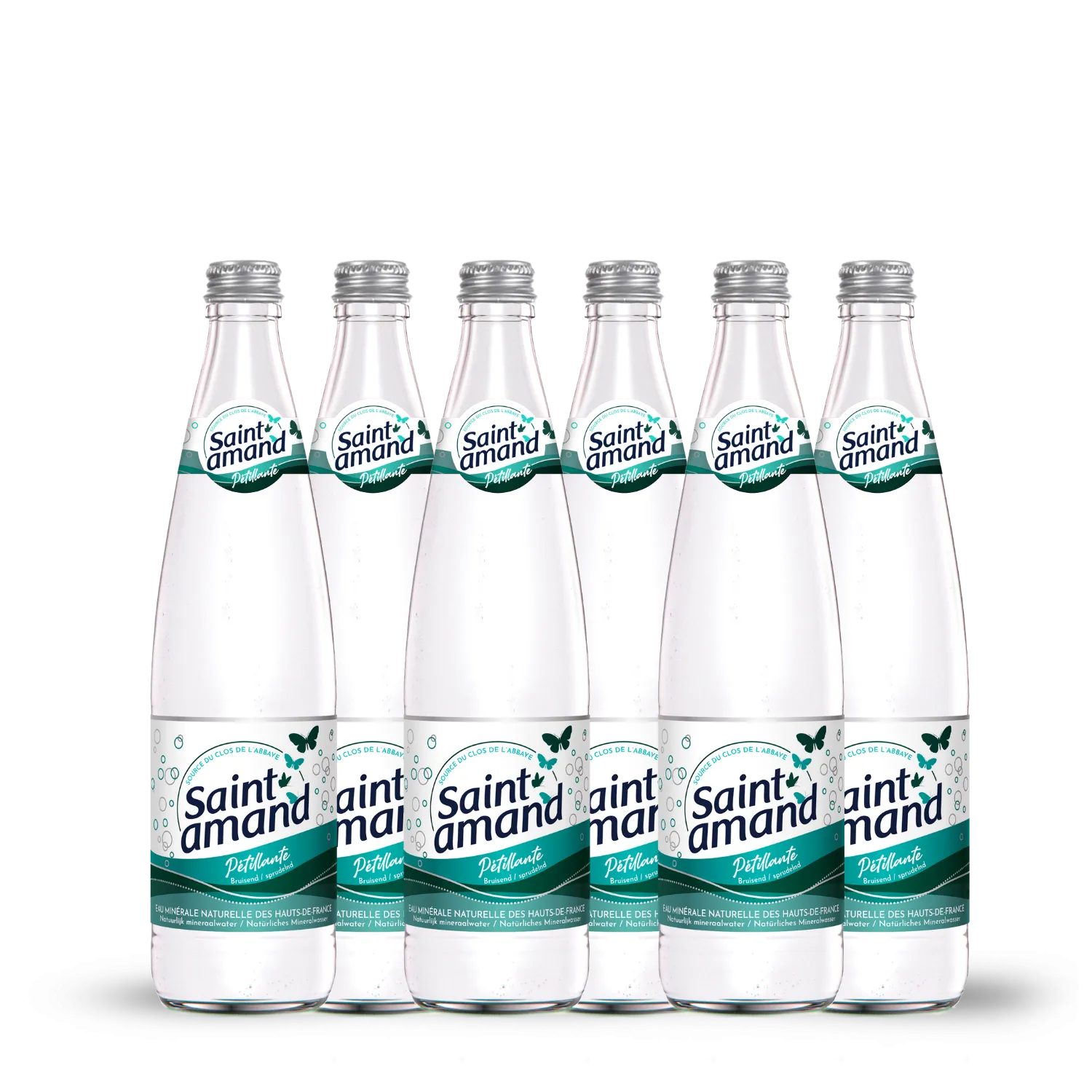 Saint Amand eau gazeuse 50cl