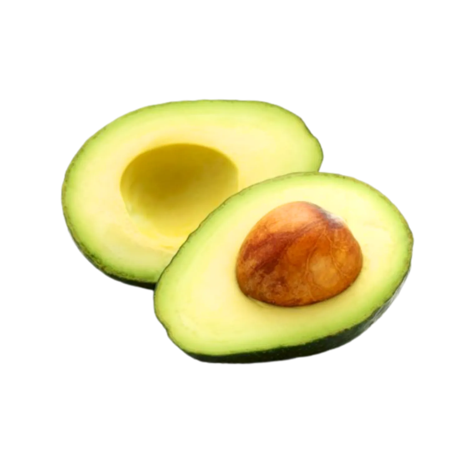 Avocat BIO