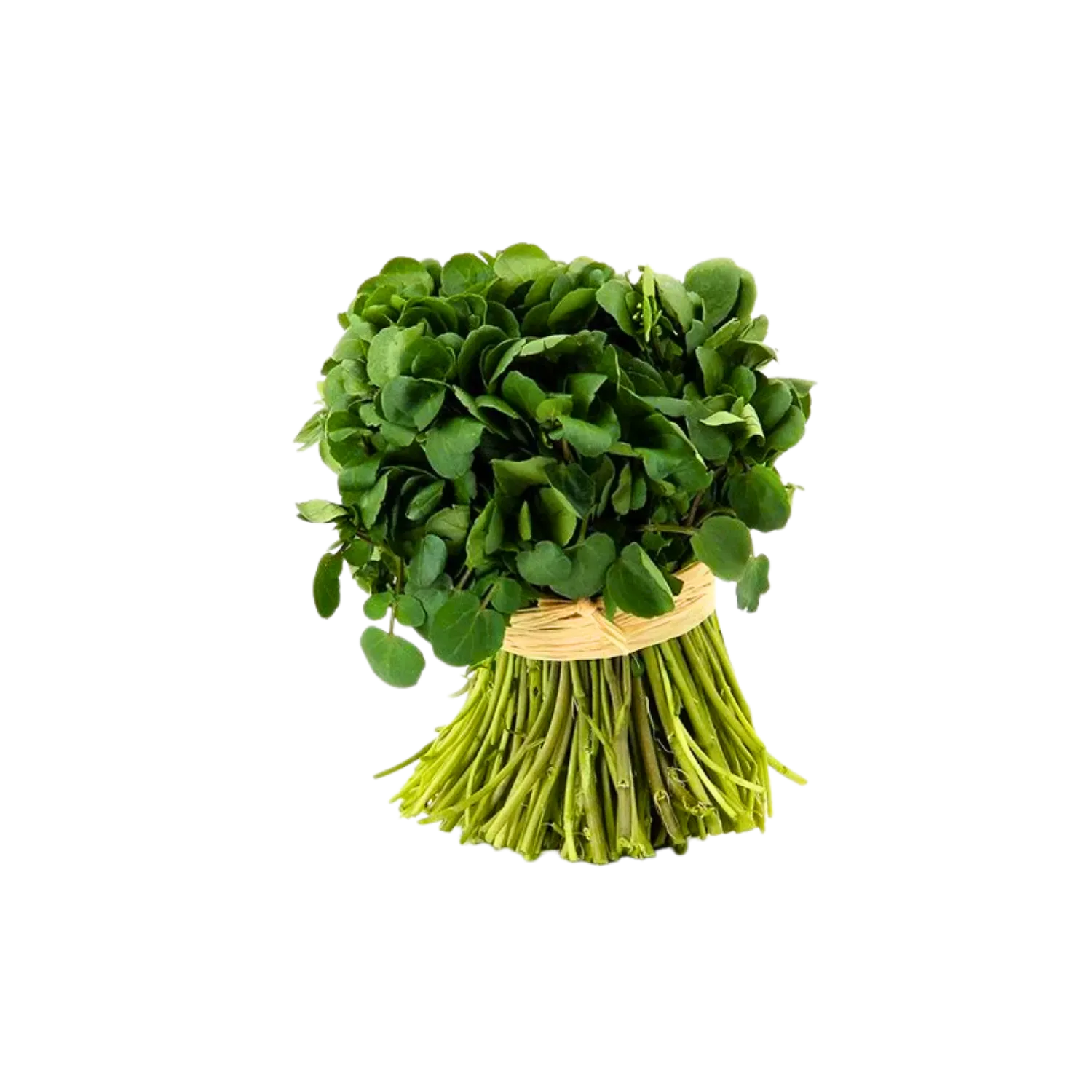 Cresson botte x1 BIO