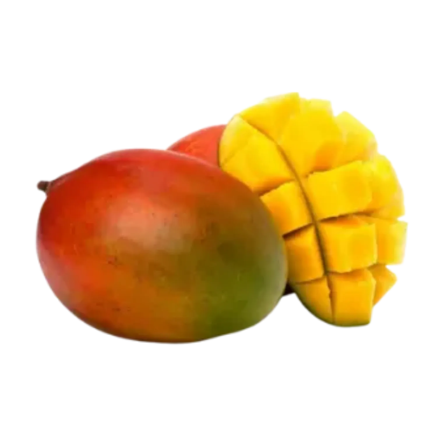 Mangue x1 BIO