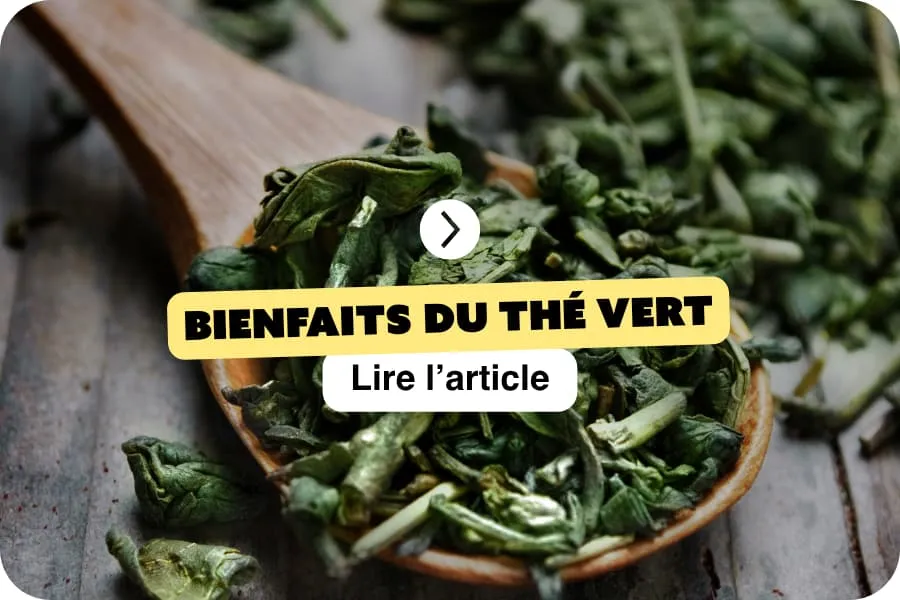 Bienfaits du thé vert