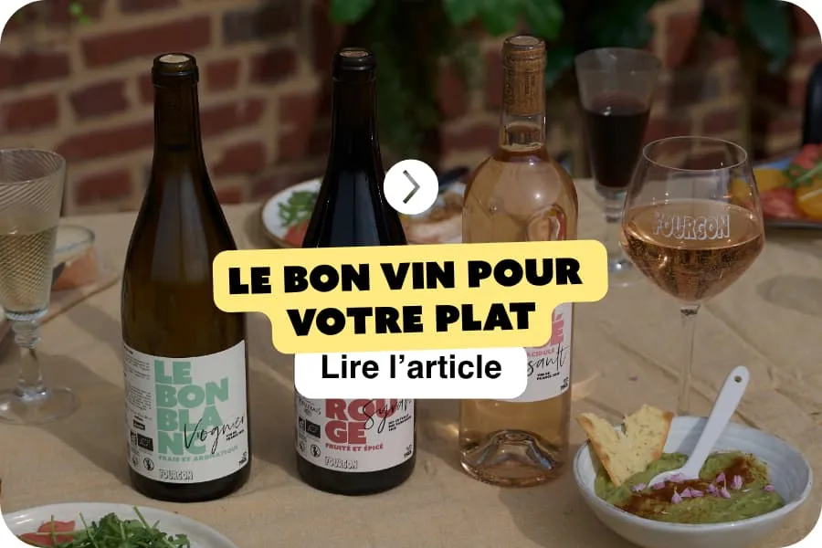 Quel vin avec son plat